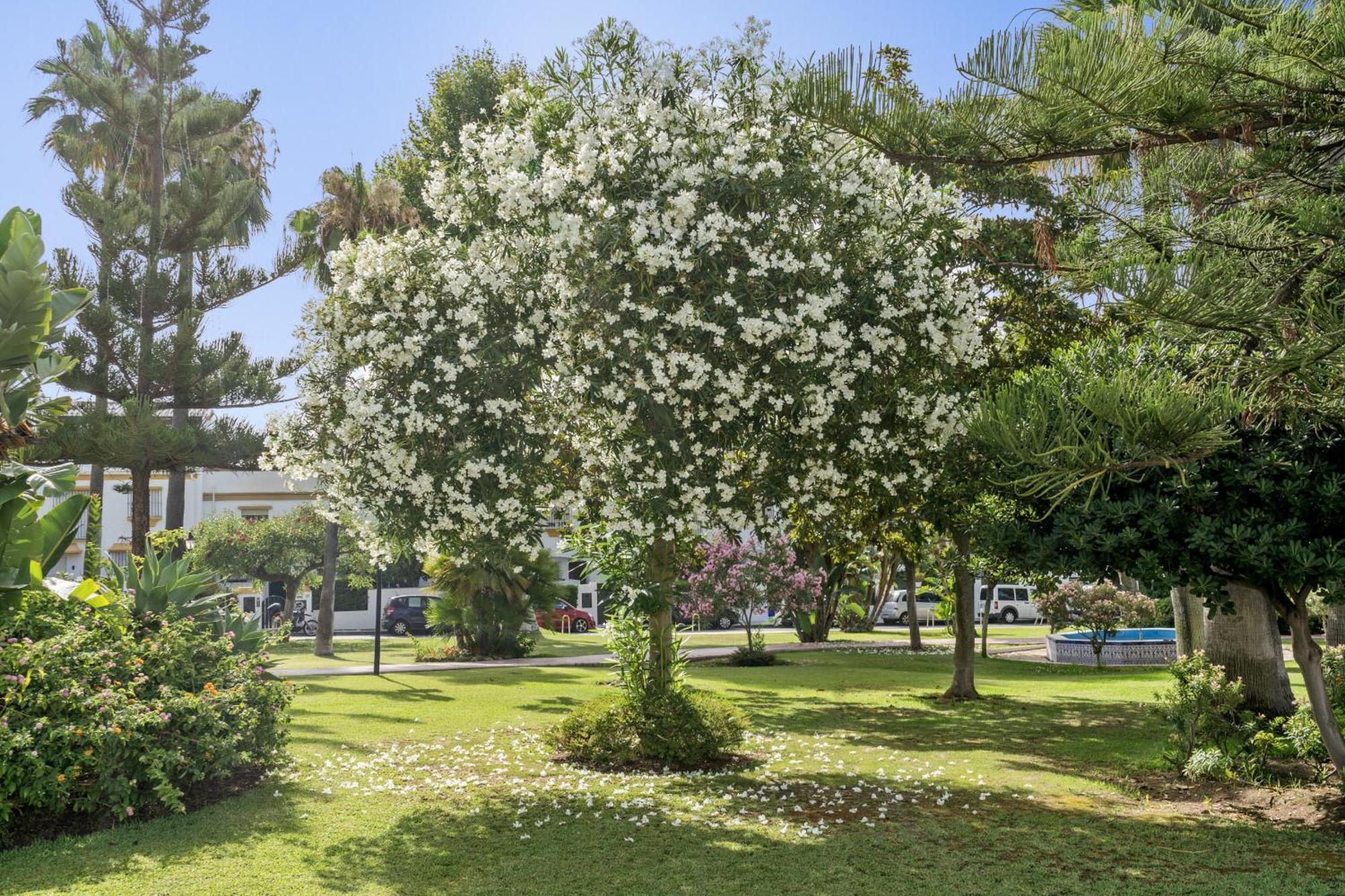 Casa Adriana Villa Marbella Dış mekan fotoğraf